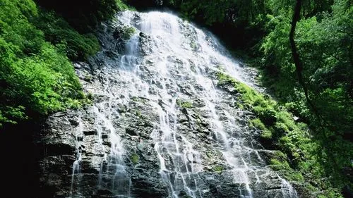 高端工业高性能